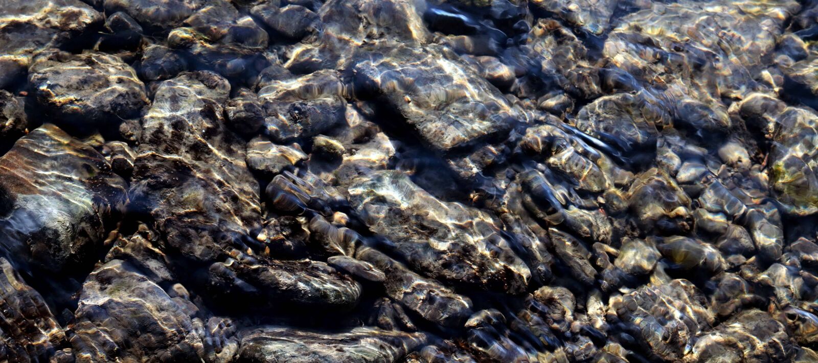 Canon EOS 80D sample photo. Texture, underwater, nature, water photography