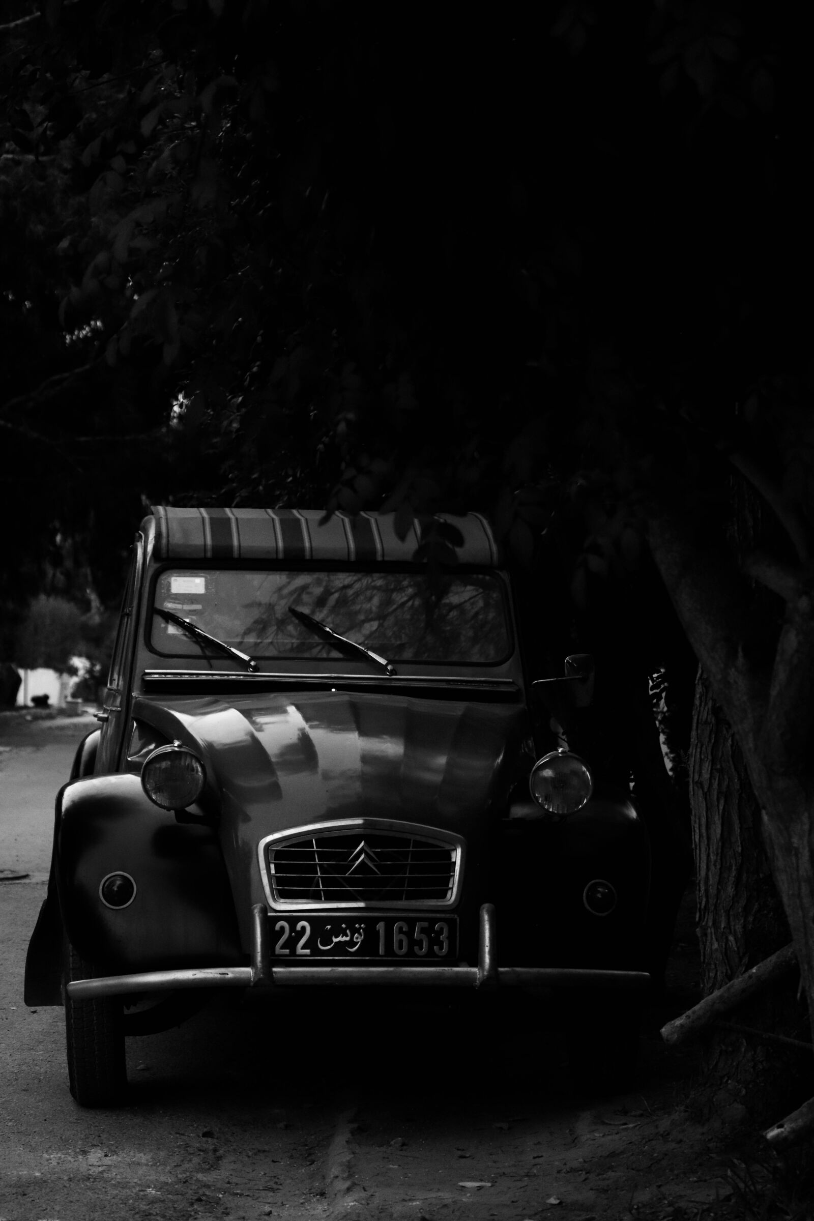 Canon EOS M50 Mark II (EOS Kiss M2) sample photo