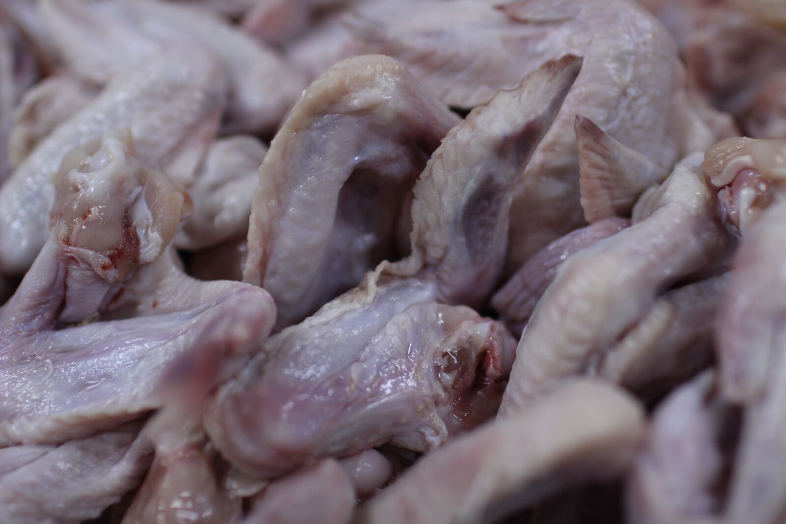 Canon EF 35mm F1.4L USM sample photo. Chicken wings, chicken meat photography