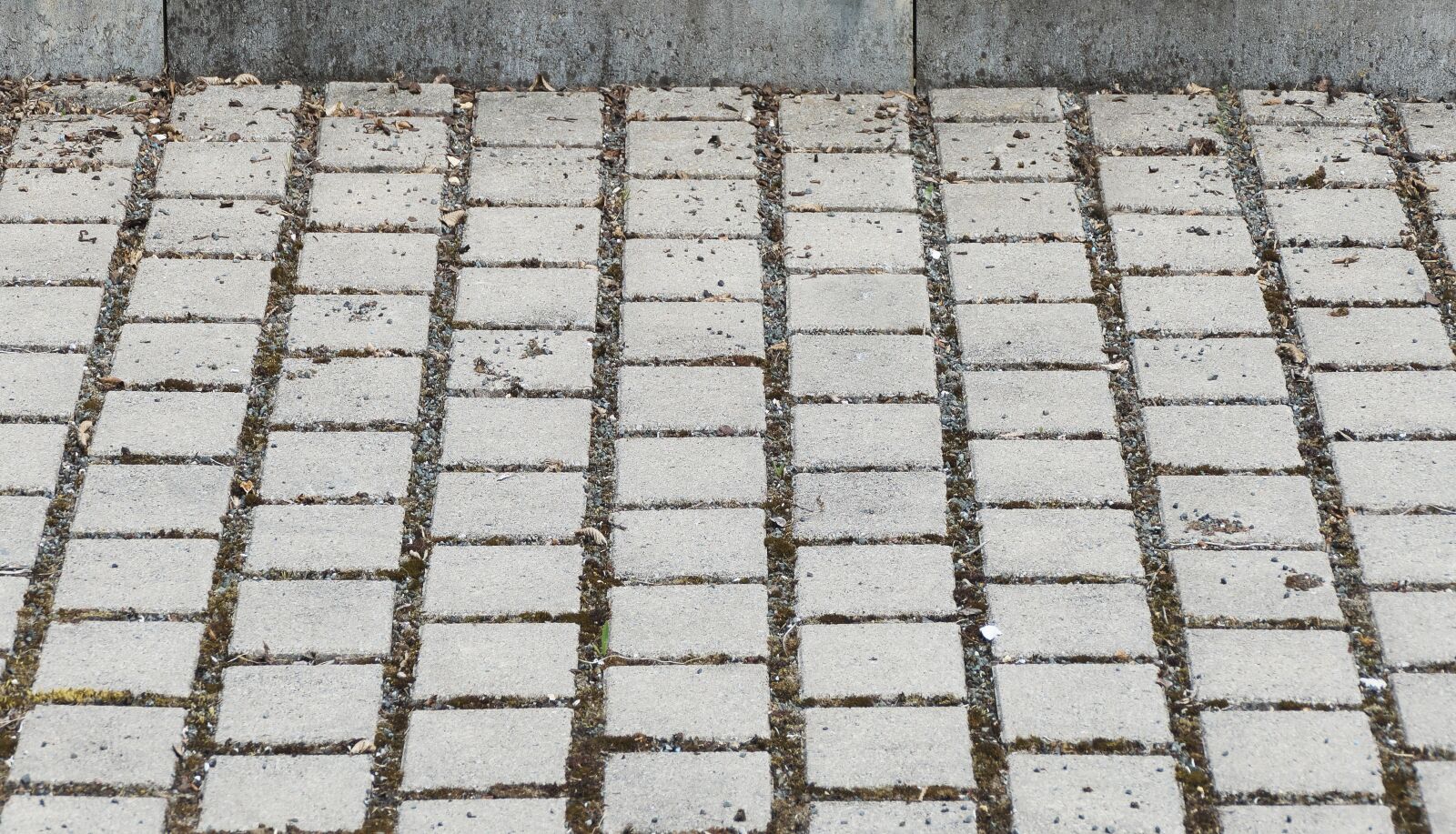 Panasonic Lumix DMC-FZ1000 sample photo. Patch, cobblestones, flooring photography