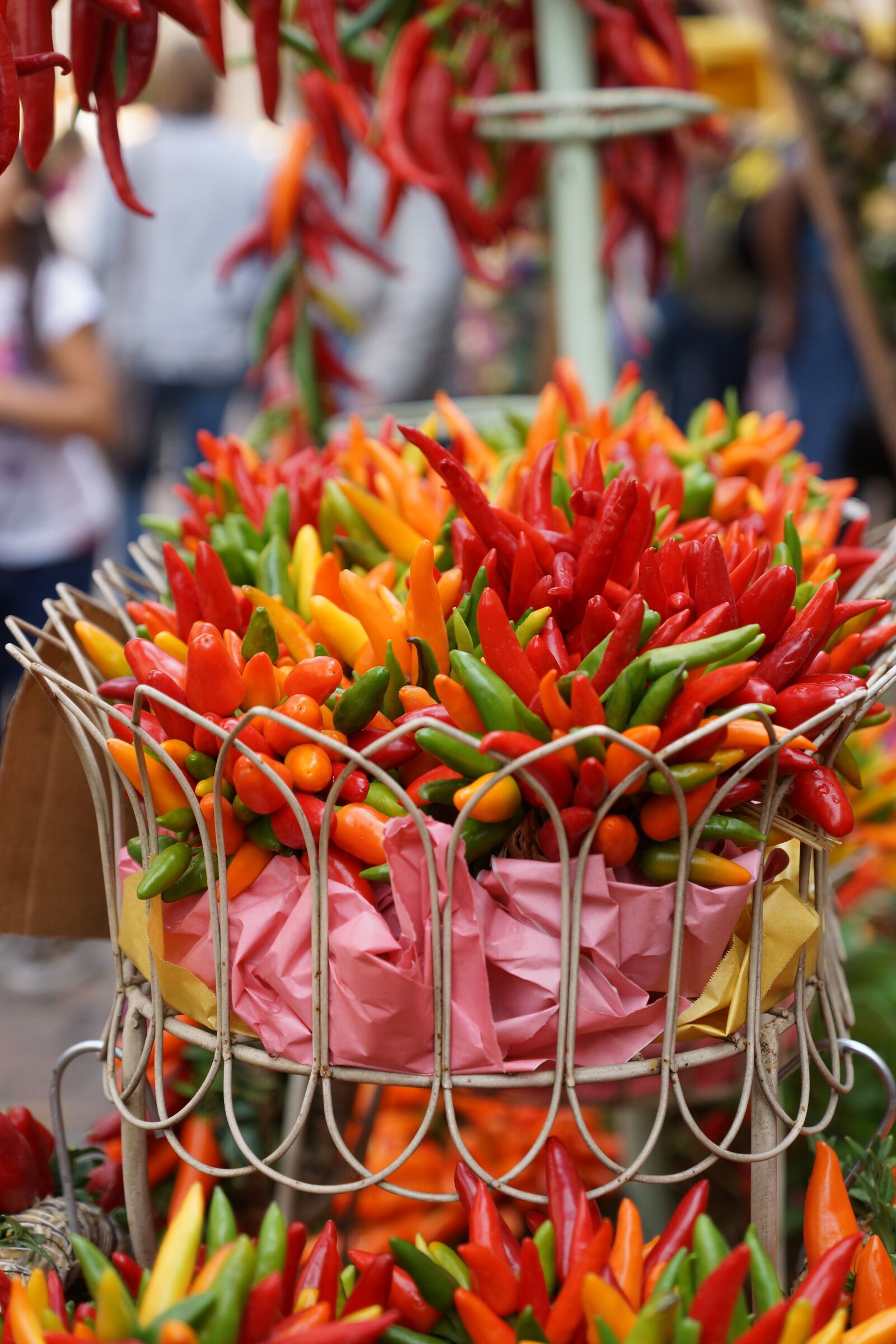 Sony SLT-A77 + Sony DT 16-50mm F2.8 SSM sample photo. Pepperoni, festival, colorful photography