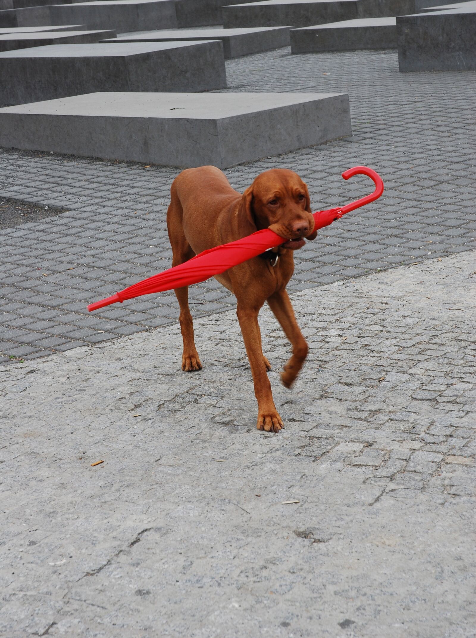 Nikon D80 sample photo. Red, gray, berlin photography