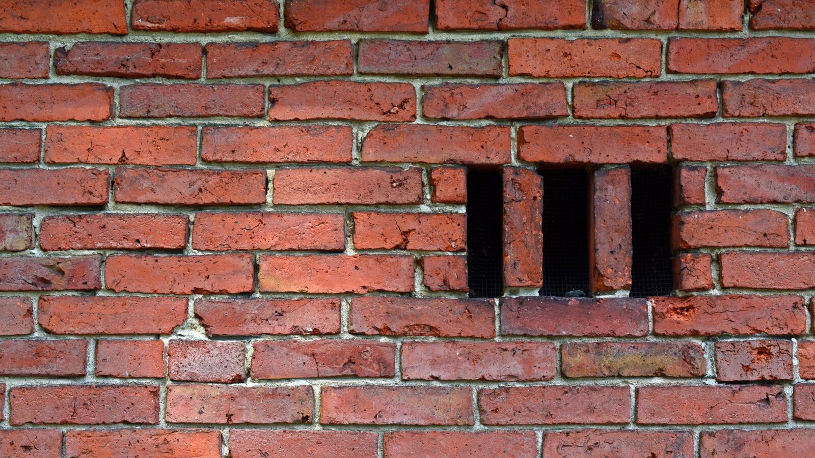 Nikon D5200 sample photo. Wall, background, stones photography