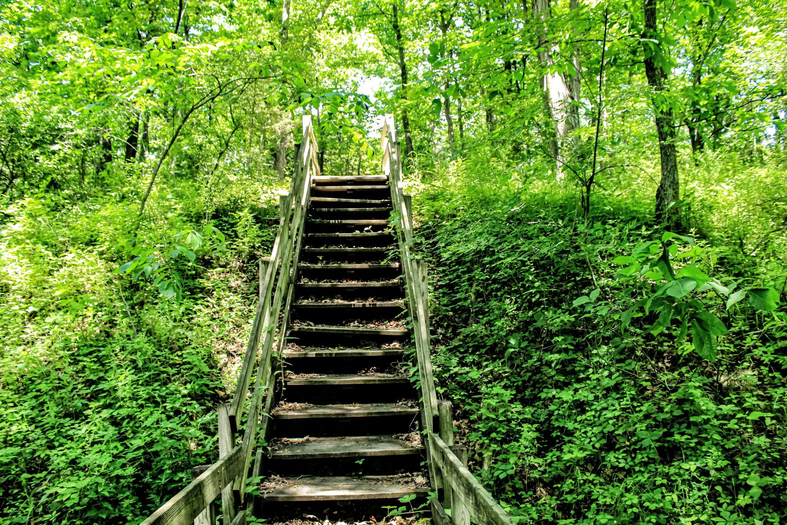 Canon EOS 4000D (EOS Rebel T100 / EOS 3000D) sample photo. Steps, stairs, rickety steps photography