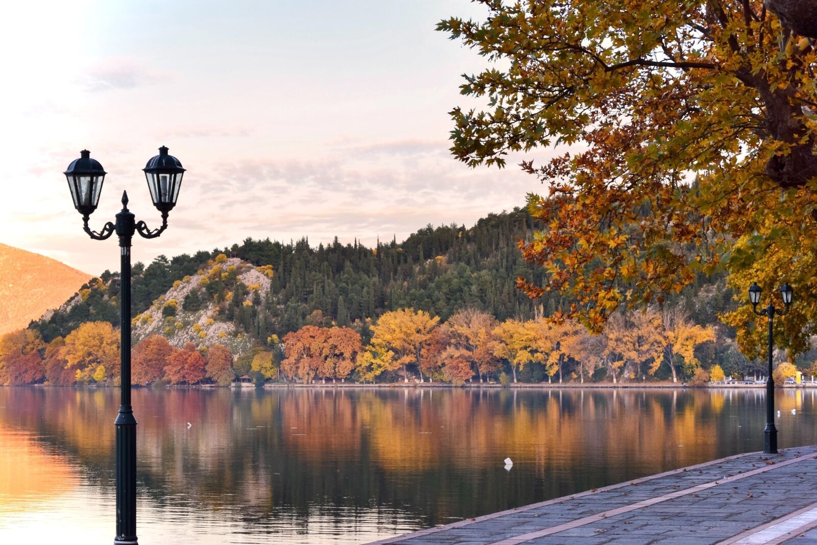 Nikon D5300 sample photo. Autumn, nature, forest photography