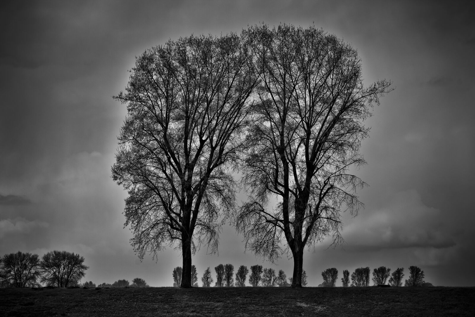 Nikon D3300 sample photo. Nature, trees, landscape photography