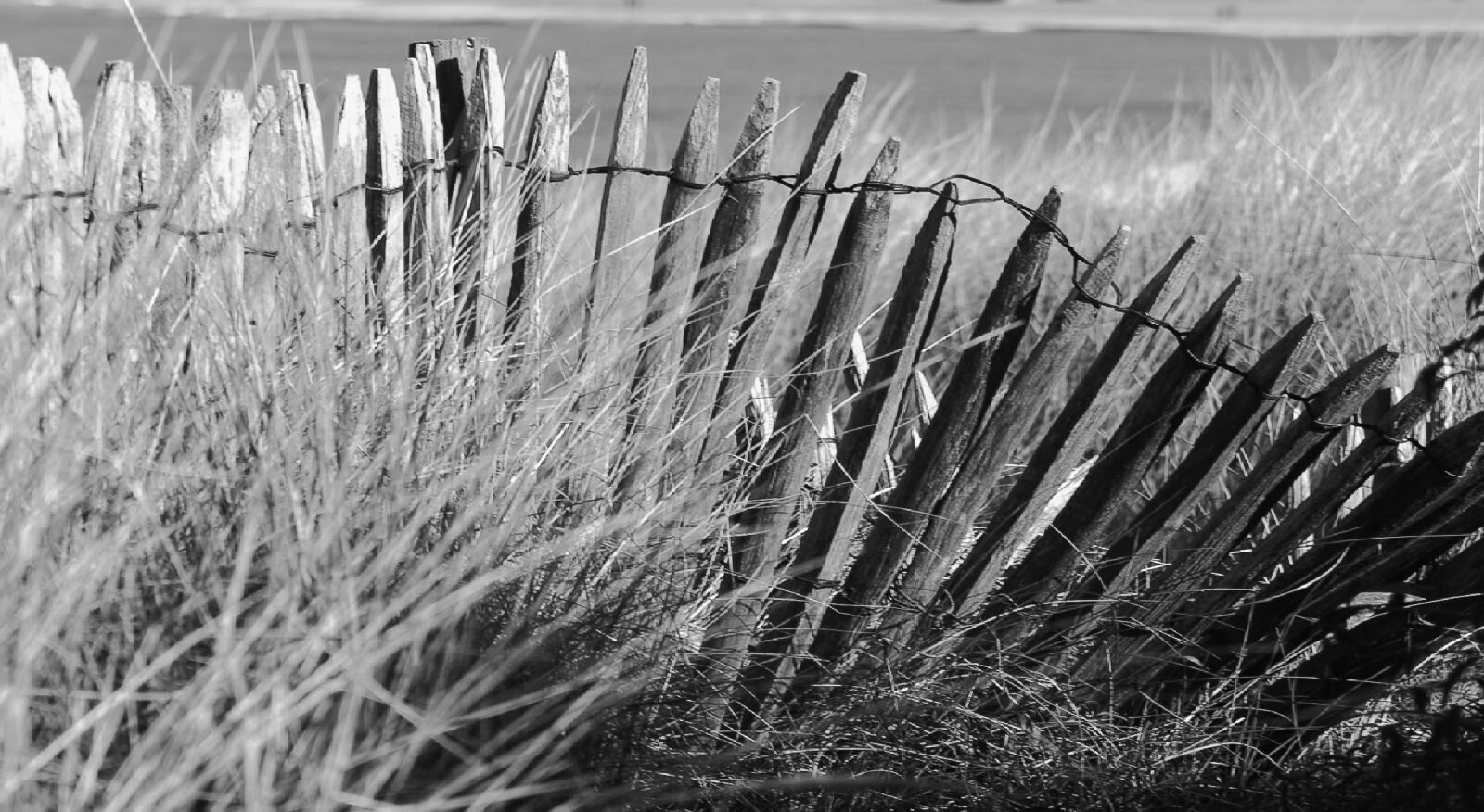 Sigma SD15 sample photo. Seaside, dunes, ocean photography