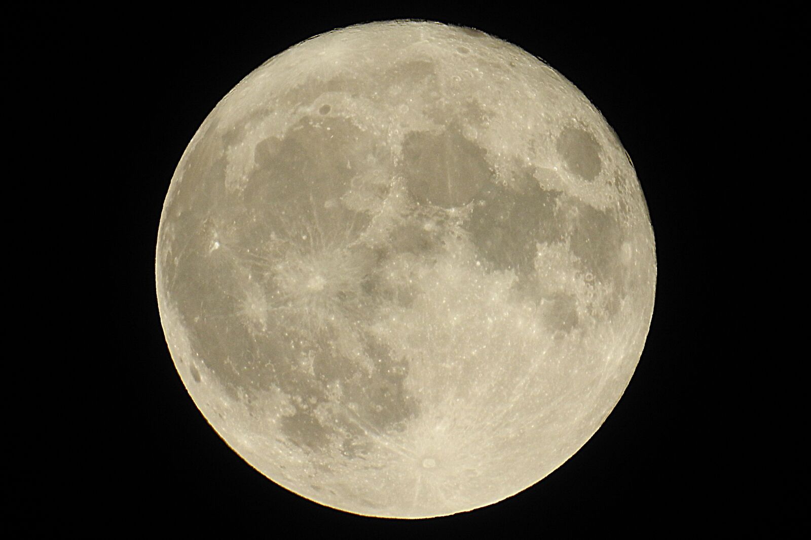 Nikon Coolpix P900 sample photo. Super full moon 2016 photography