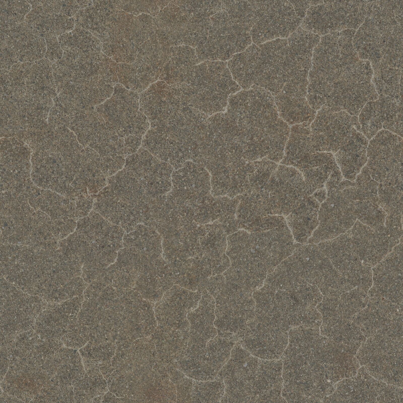 Canon EOS 1000D (EOS Digital Rebel XS / EOS Kiss F) sample photo. Seamless, tileable, texture photography
