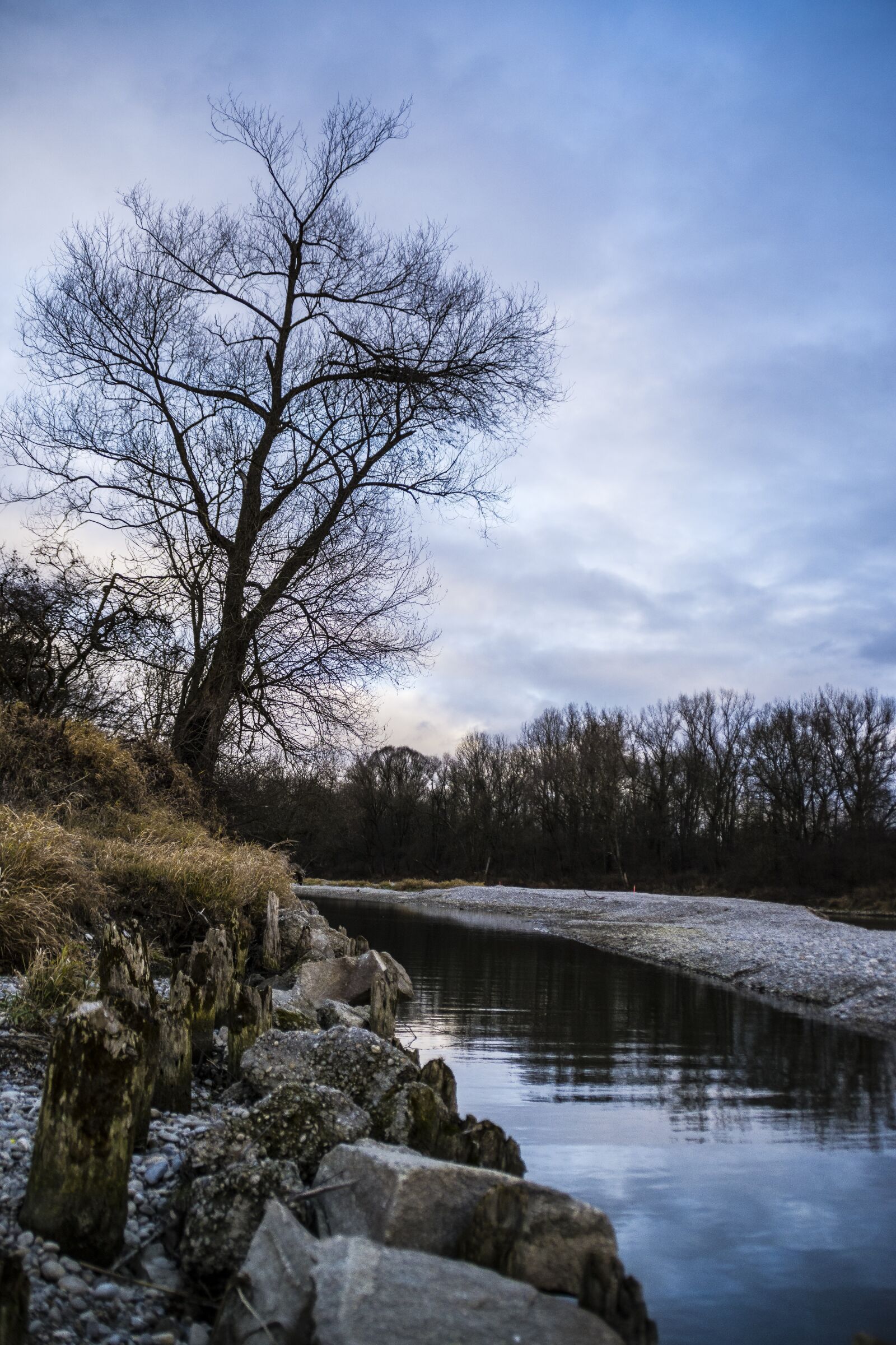 Nikon D7200 sample photo. Isar, tree, sky photography