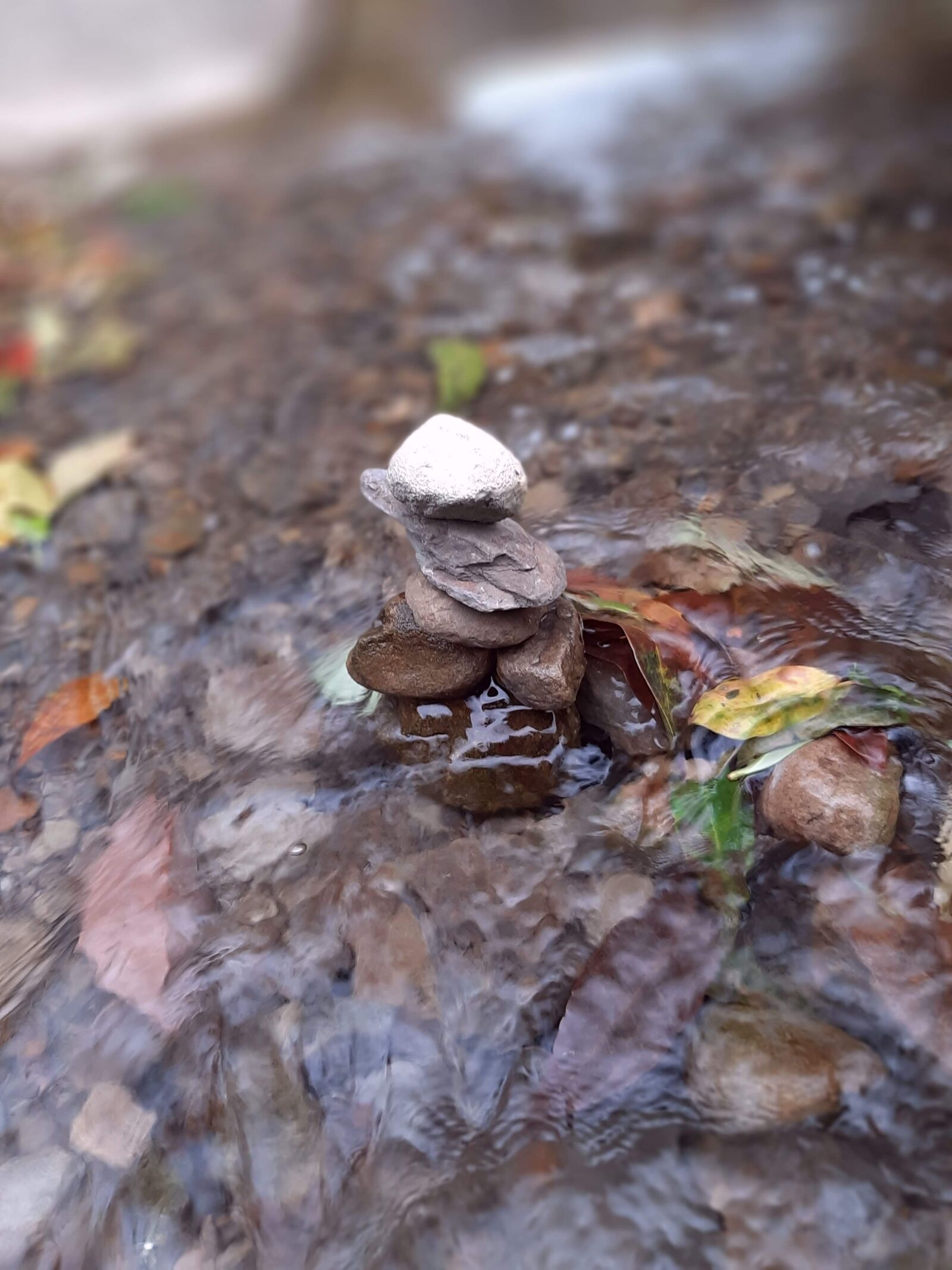 Samsung Galaxy A50 sample photo. River, fairy, immortal photography