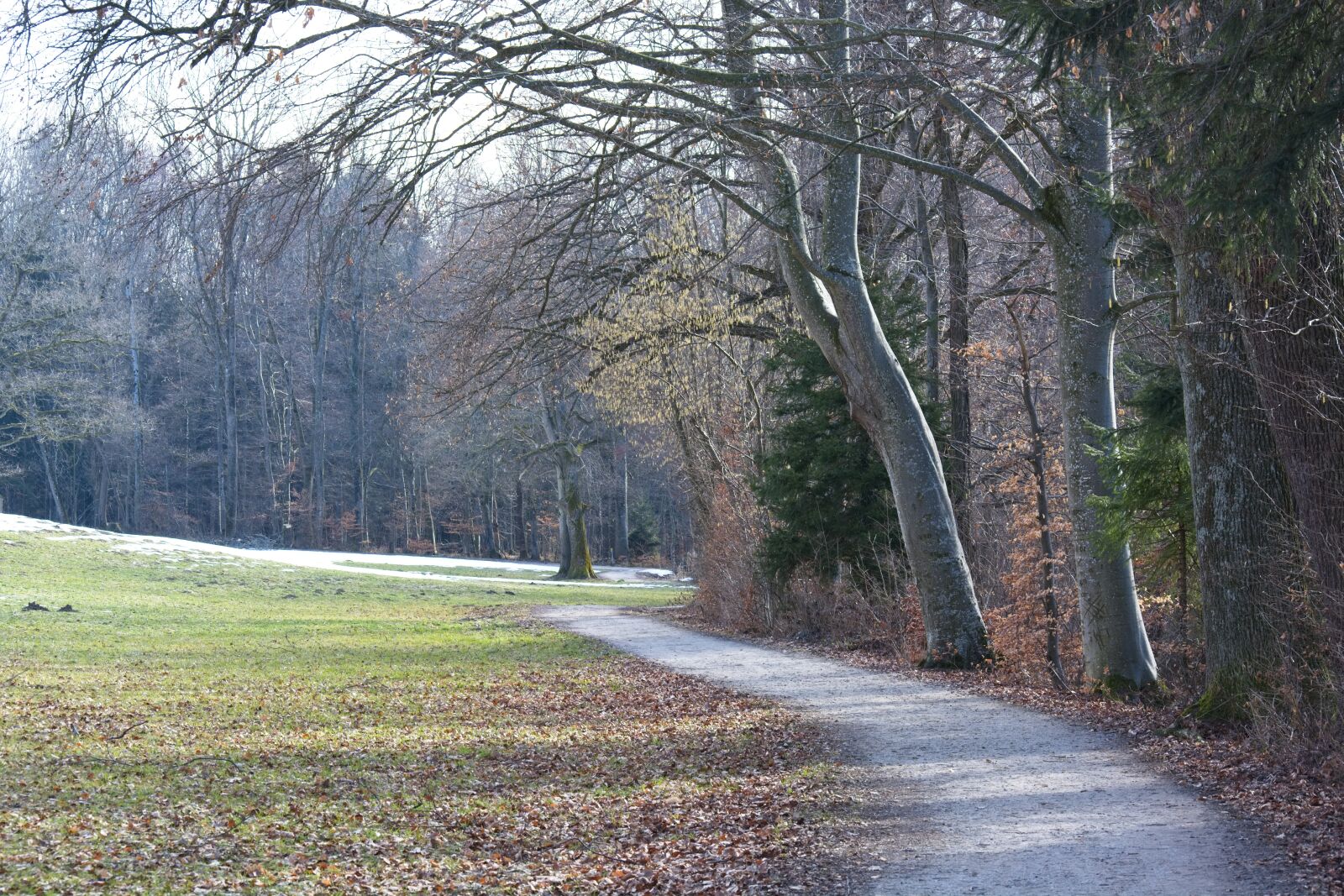 Nikon D7100 sample photo. Promenade, away, path photography