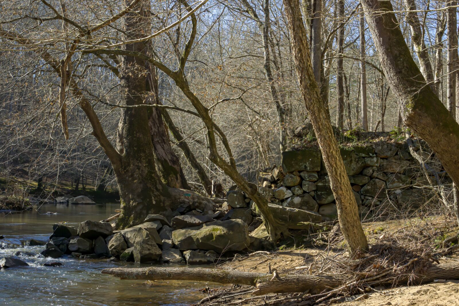 Sony a6000 + Sony E 35mm F1.8 OSS sample photo. Eno river, state park photography