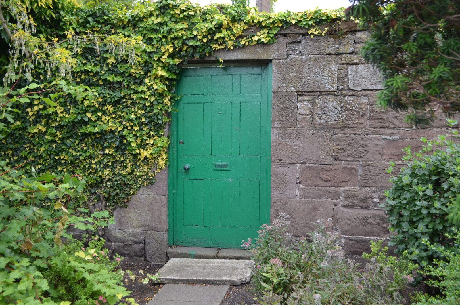 Nikon D5100 sample photo. Door, green, nature photography