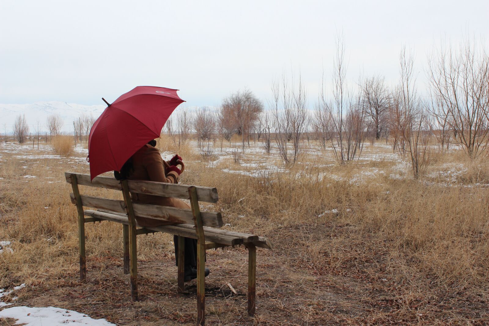 Canon EOS 650D (EOS Rebel T4i / EOS Kiss X6i) sample photo. Umbrella, loneliness, winter photography