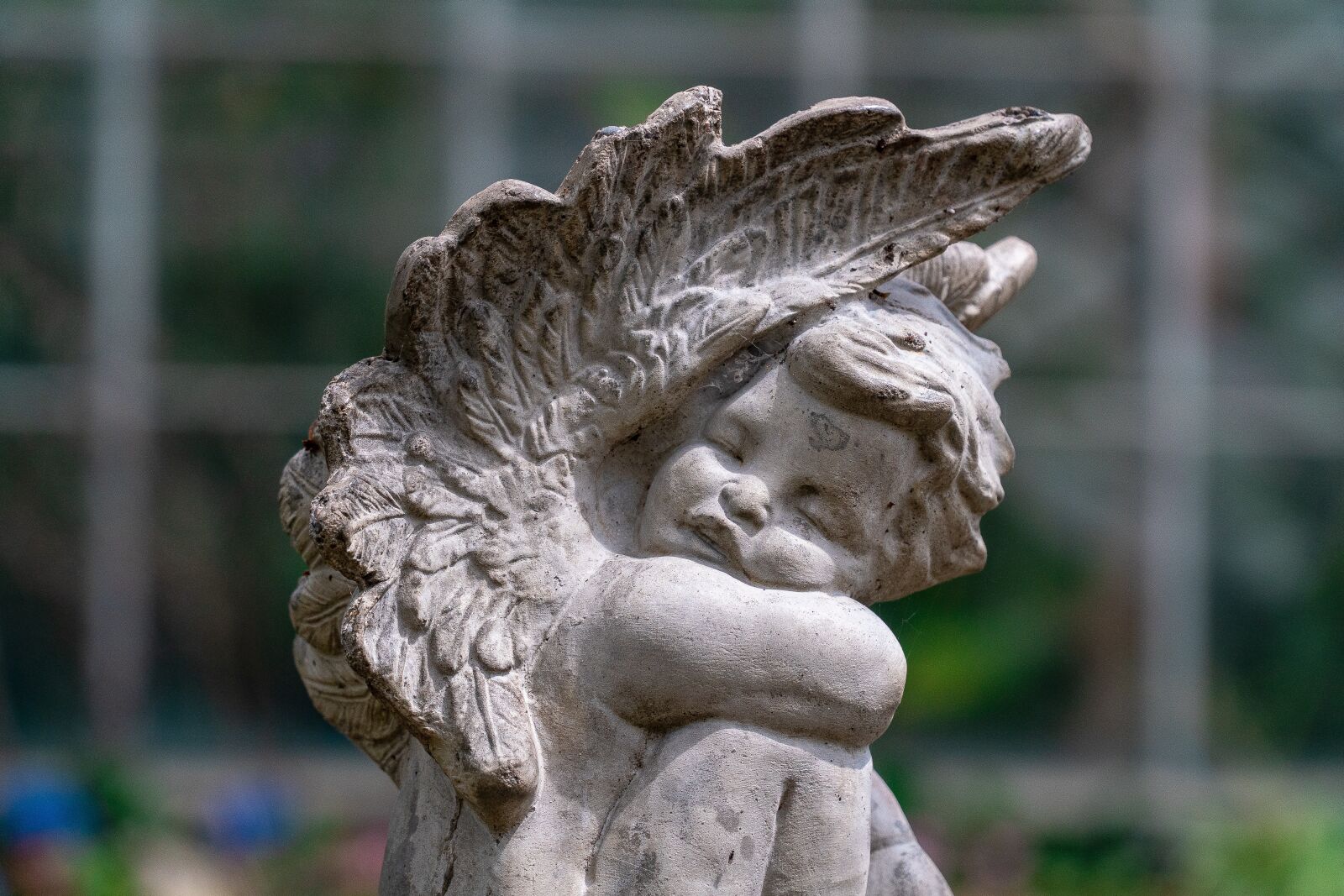 Sony a6300 + Sony E PZ 18-105mm F4 G OSS sample photo. Harmony, peace, spiritual photography
