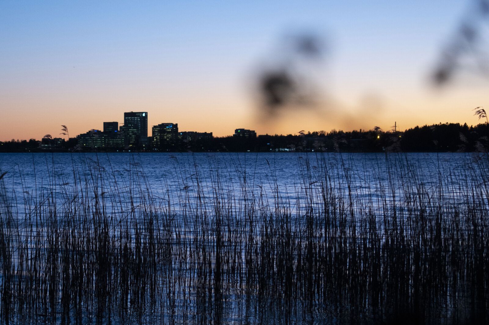 Nikon D3500 sample photo. City, sea, landscape photography