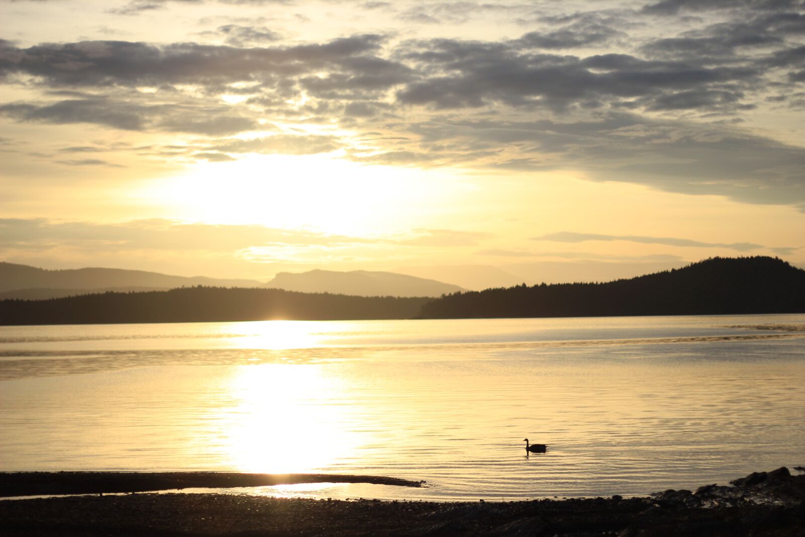 Canon EOS 550D (EOS Rebel T2i / EOS Kiss X4) sample photo. Horizon, sitting, rainforest photography