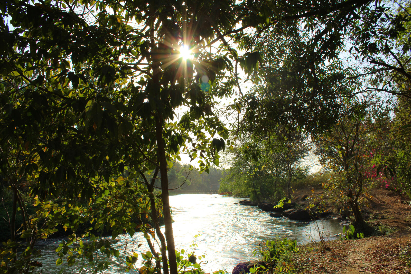 Canon EOS 1200D (EOS Rebel T5 / EOS Kiss X70 / EOS Hi) sample photo. Forest, nature, river, sunrise photography