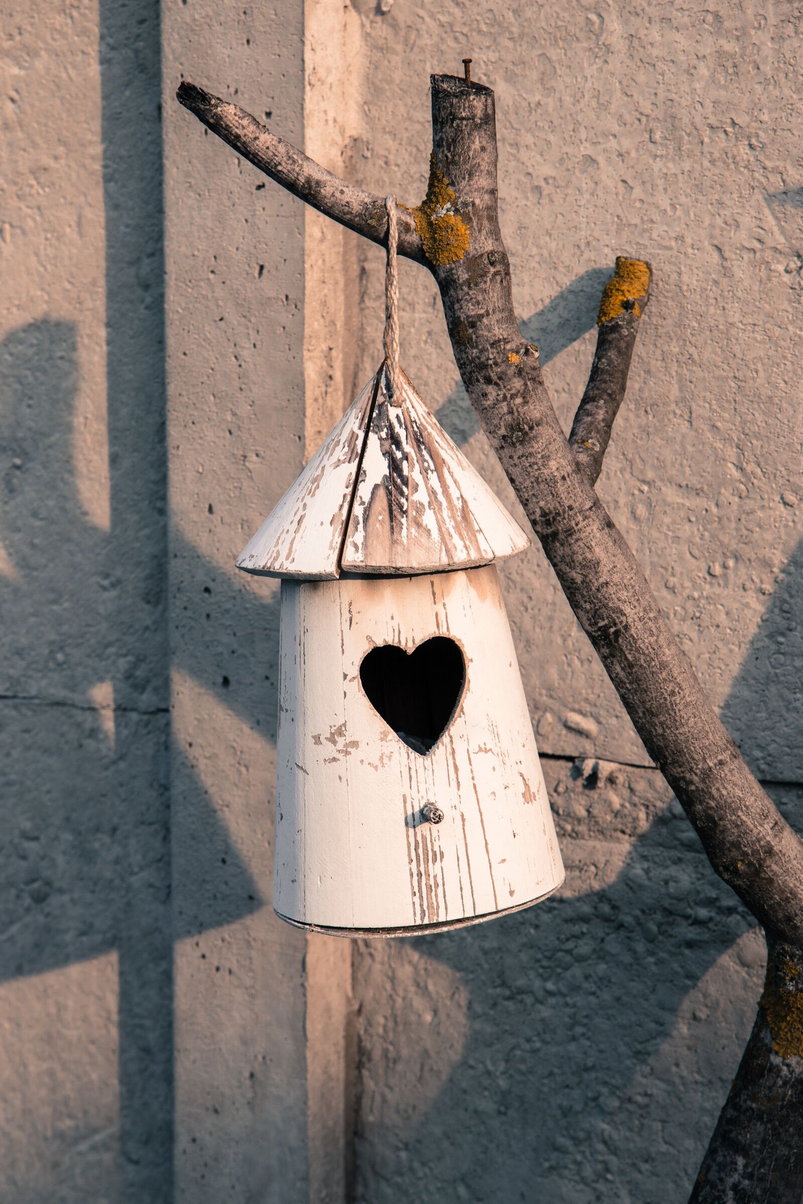 Canon EOS 70D sample photo. Bird hut, garden, wood photography