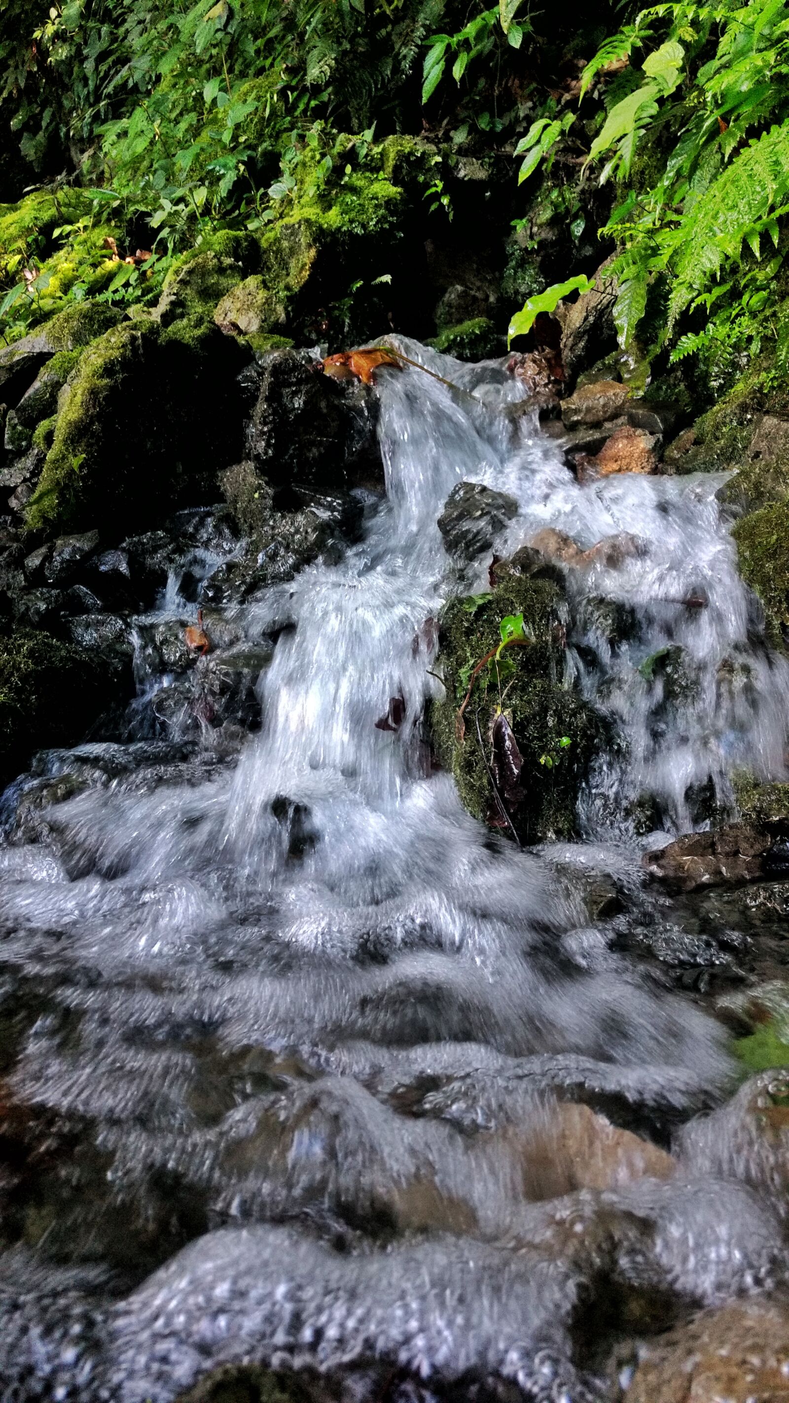 Motorola Moto G (4) sample photo. Creek, mountain, nature, water photography