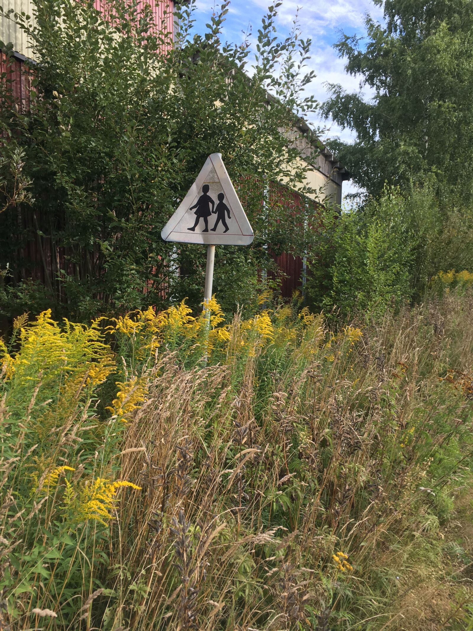 iPhone SE back camera 4.15mm f/2.2 sample photo. Roadsign, children playing, safety photography