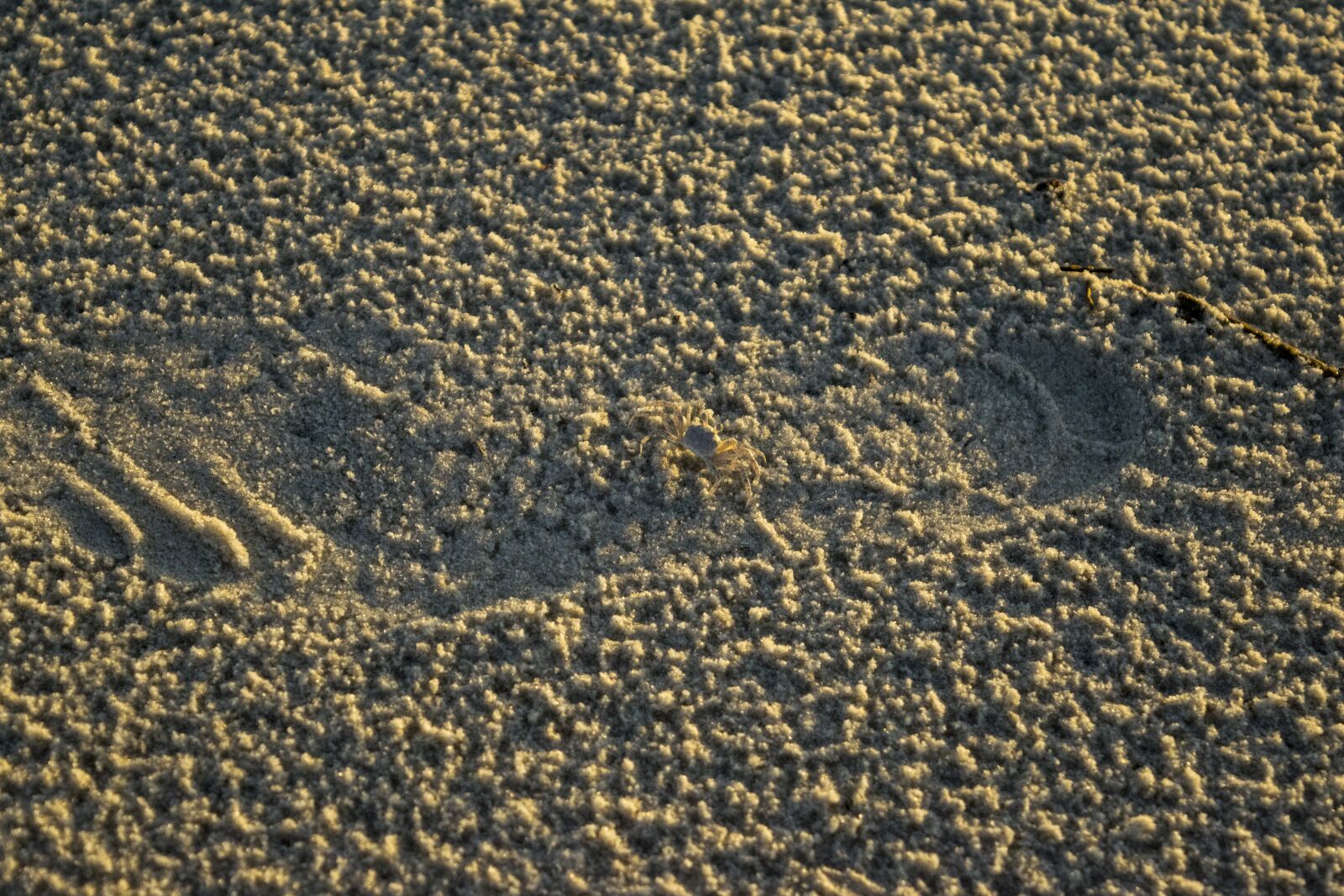 Nikon D5300 sample photo. Sand, beach, footprint photography