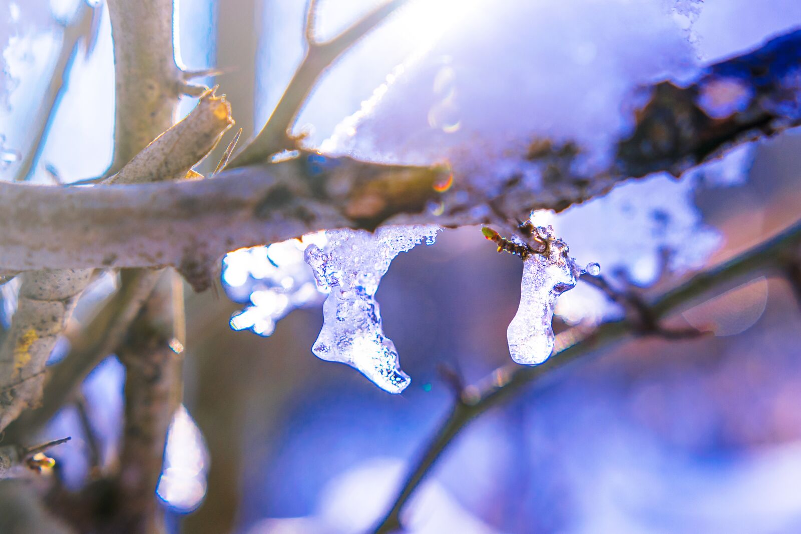 Nikon D5300 sample photo. Winter, snow, ice photography