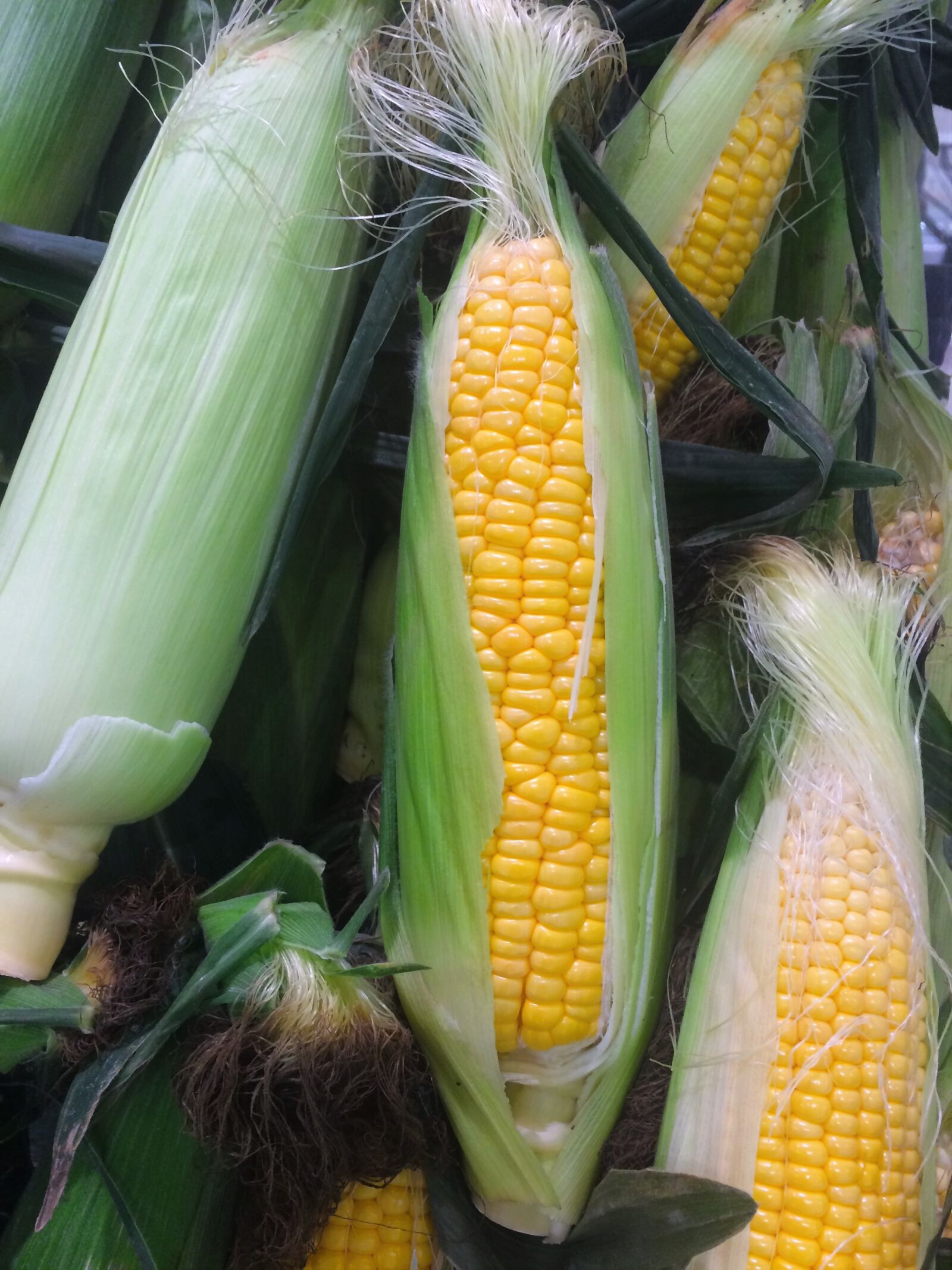iPhone 5s back camera 4.15mm f/2.2 sample photo. Corn, vegetables, yellow photography