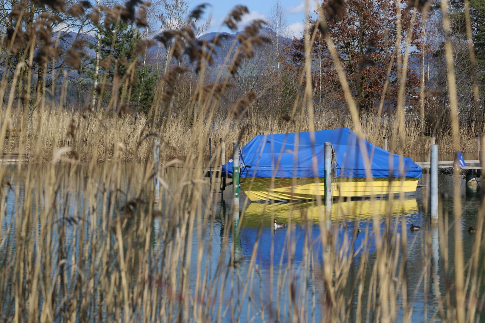 Canon EOS 6D + Canon EF 24-105mm F4L IS USM sample photo. Ship, lake, reed photography