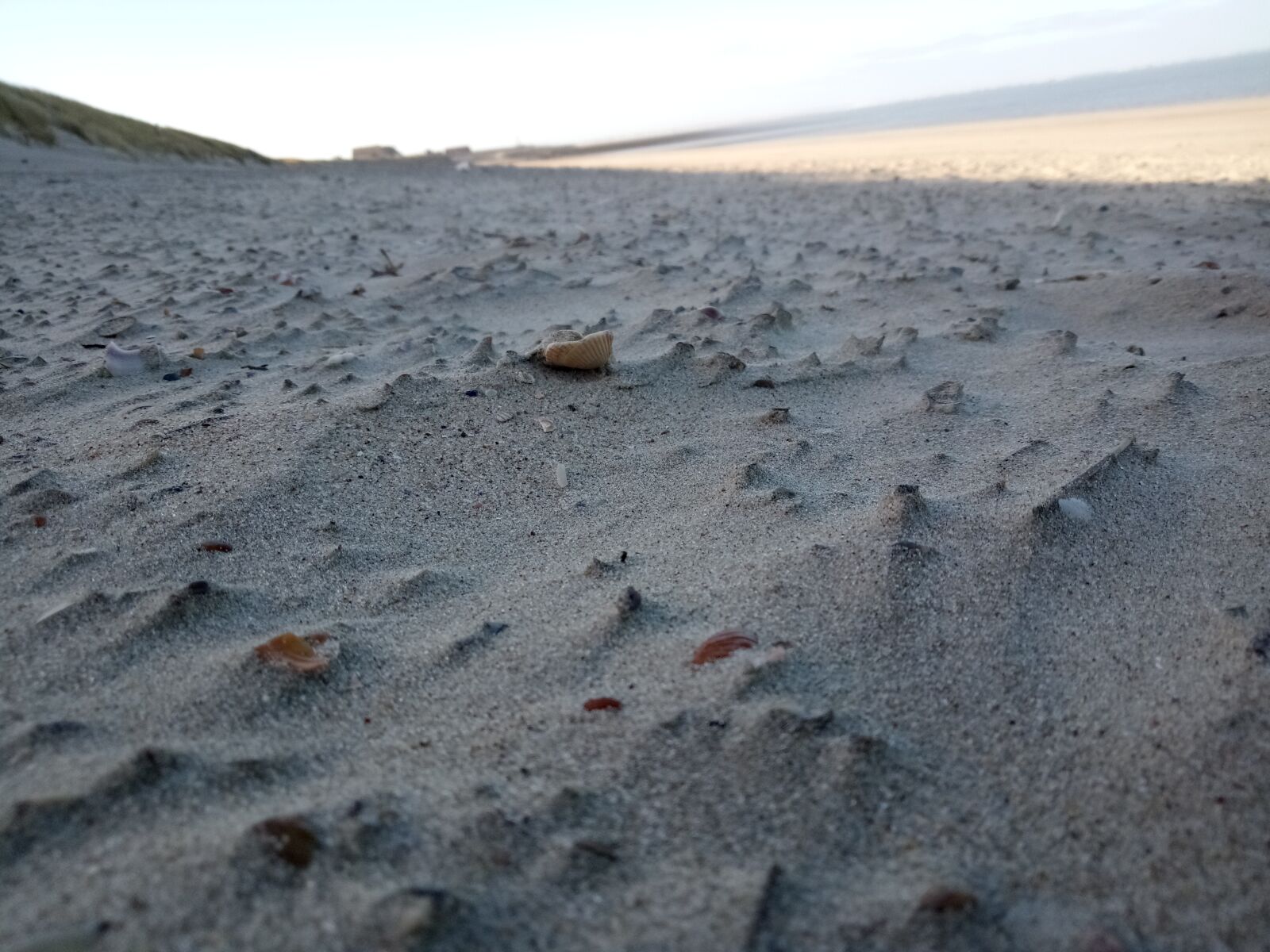 HUAWEI honor 6C Pro sample photo. Beach, sand, mussels photography