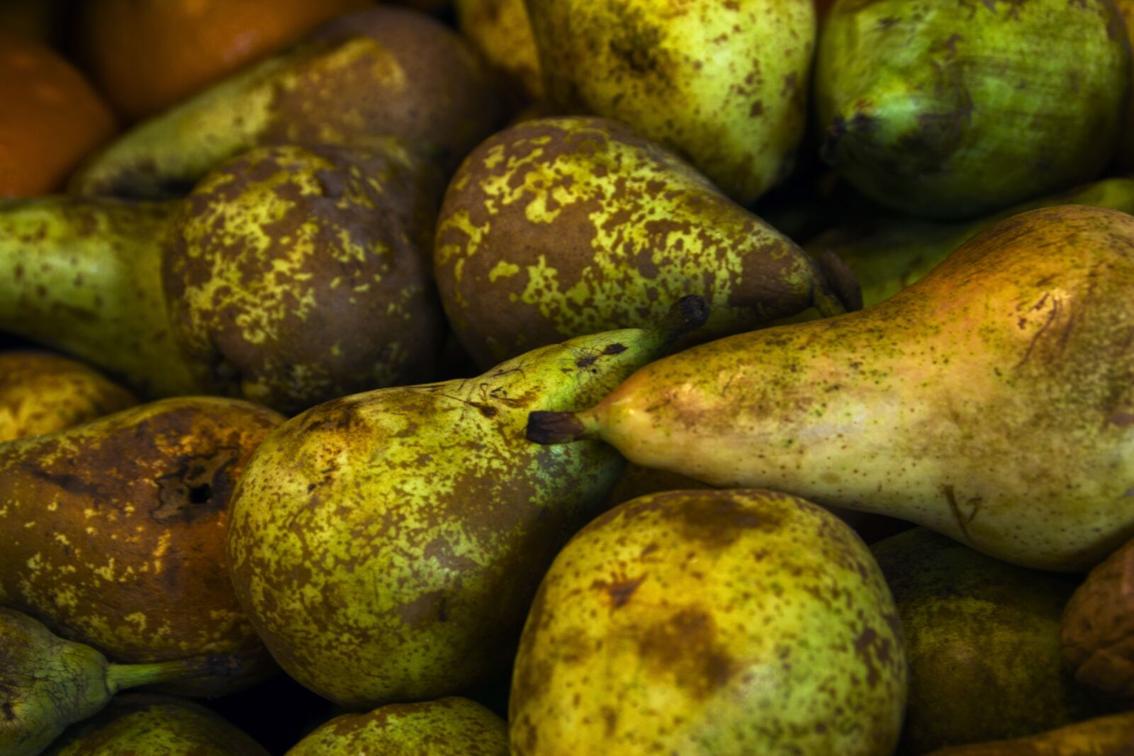 Canon EOS 600D (Rebel EOS T3i / EOS Kiss X5) sample photo. Pears, fruit, food photography