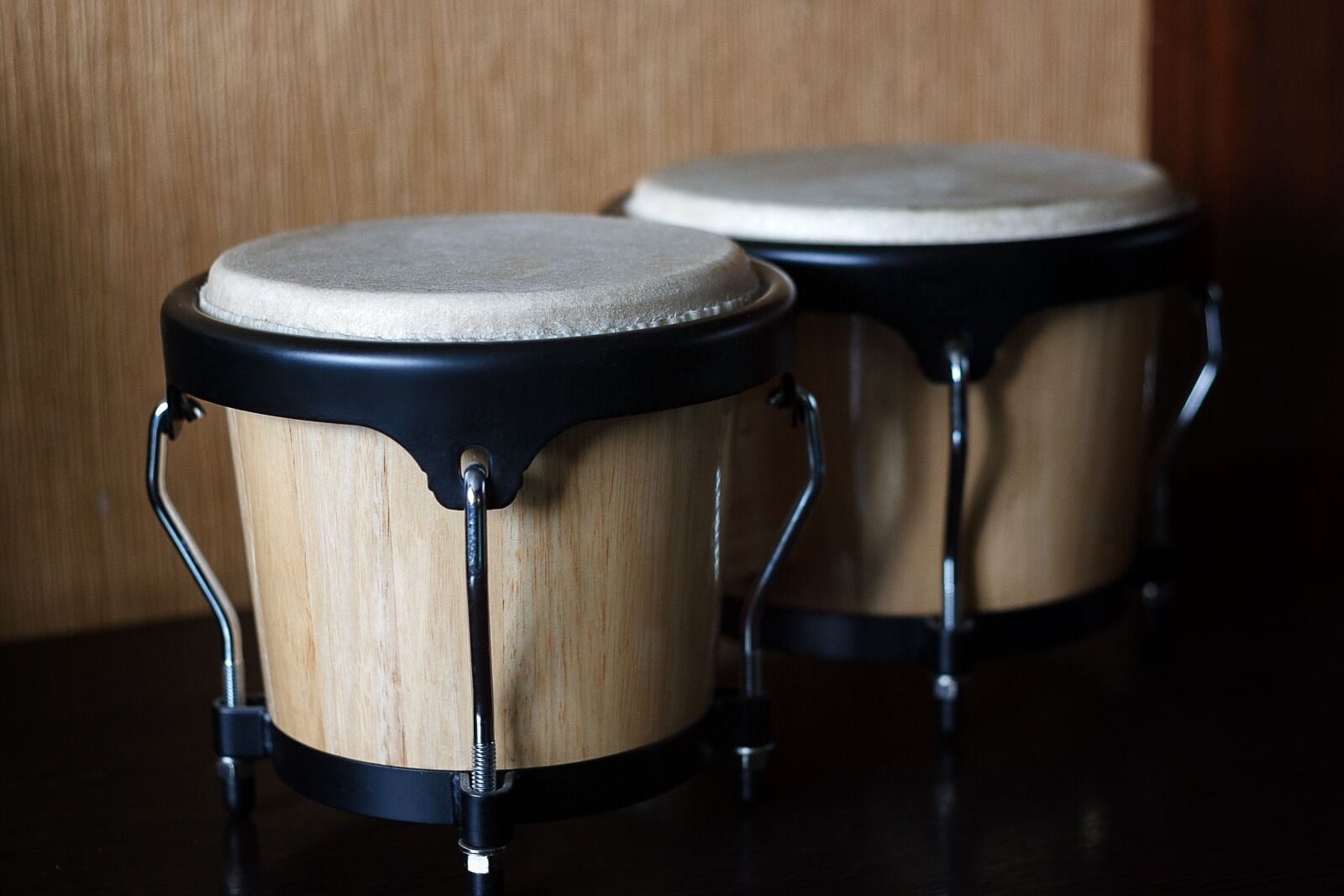 Canon EOS-1D Mark II sample photo. Drum, percussion instrument, drummer photography