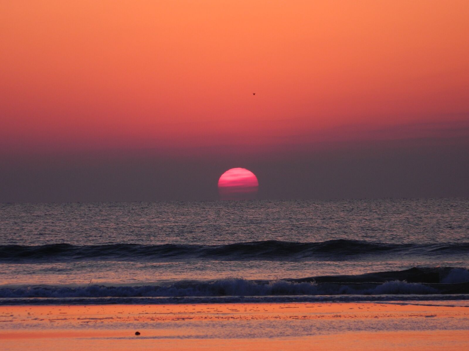 Nikon Coolpix L120 sample photo. Sunrise, beach, sky photography