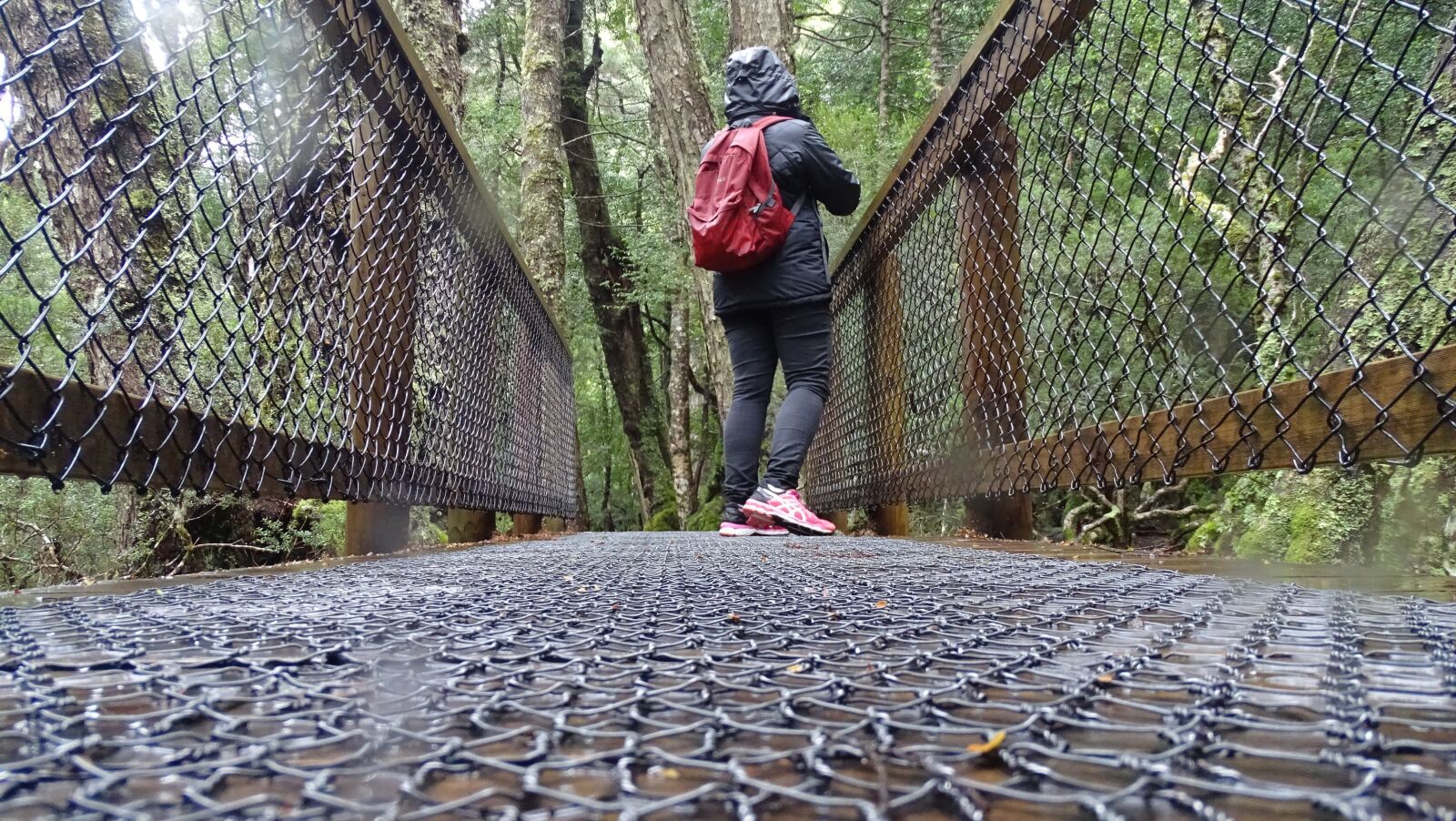 Sony Cyber-shot DSC-HX350 sample photo. Walkway, chicken wire, bridge photography