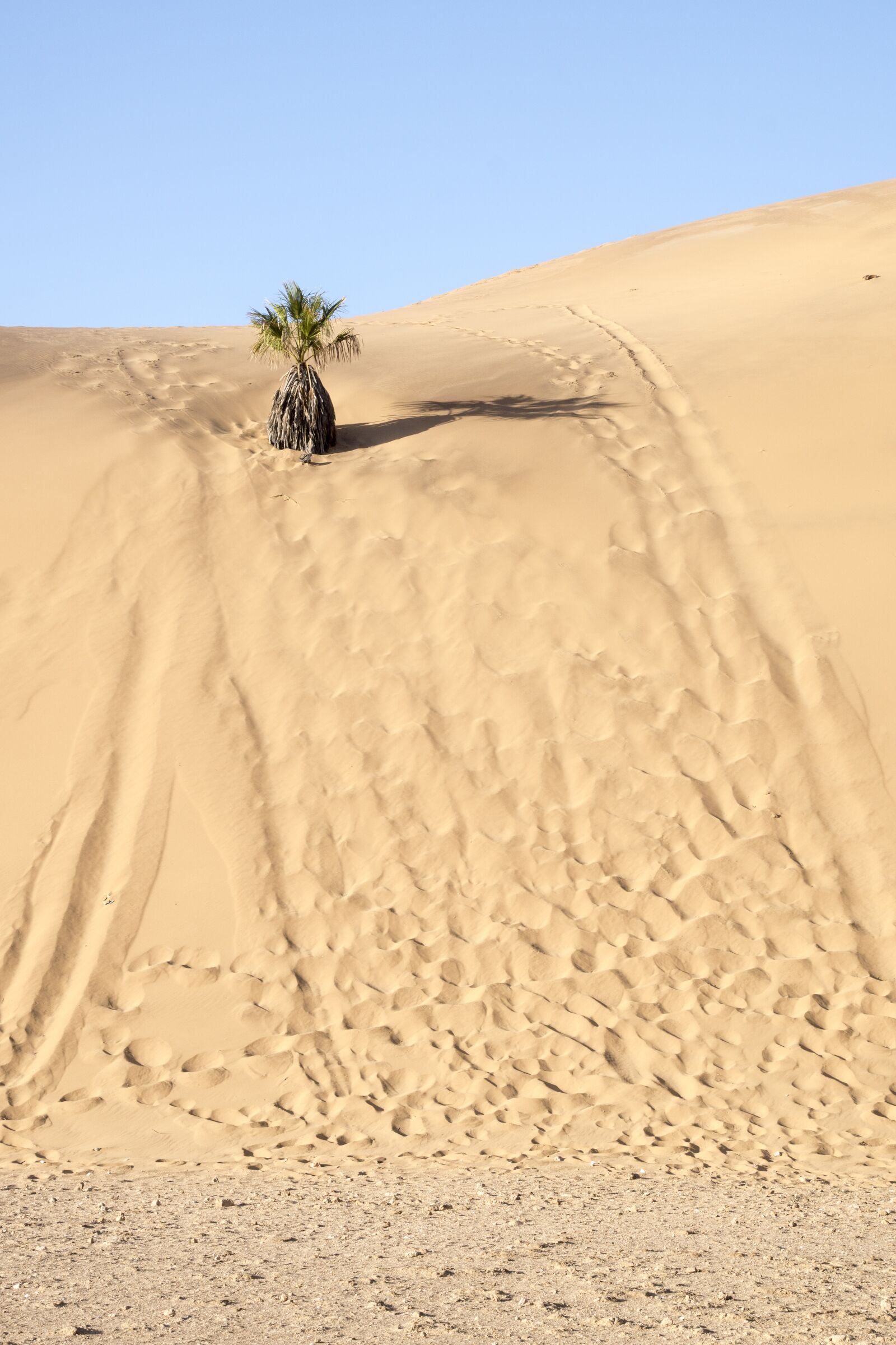 Tamron 16-300mm F3.5-6.3 Di II VC PZD Macro sample photo. Africa, namib desert, sand photography