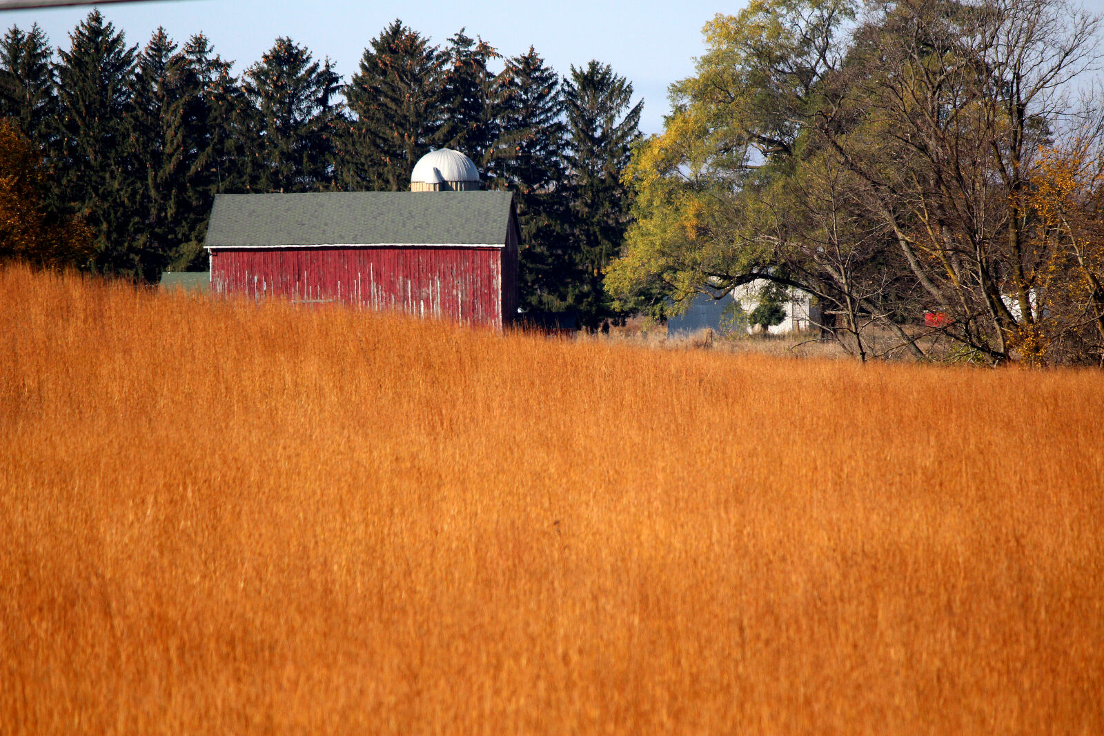 Canon EF-S 55-250mm F4-5.6 IS II sample photo. Barn, fall, autumn, october photography