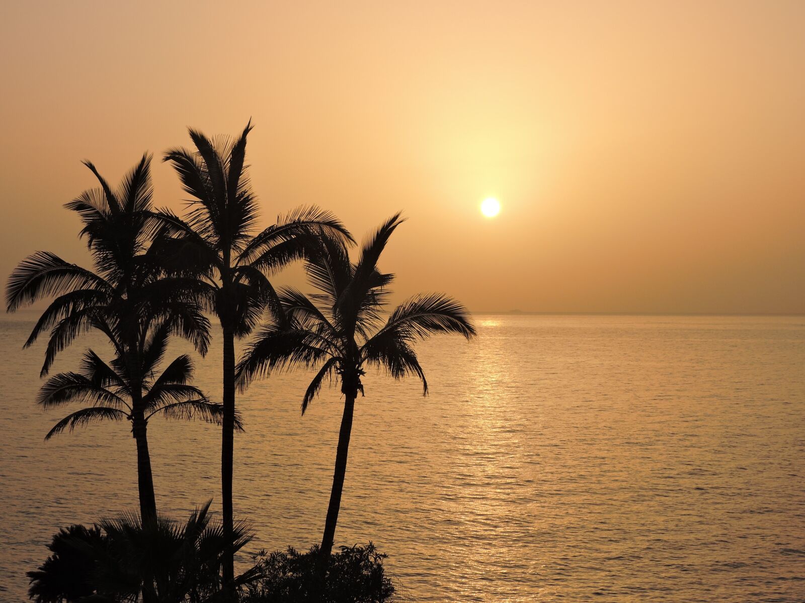 Nikon Coolpix P600 sample photo. Romantic, sunset, atardeser photography