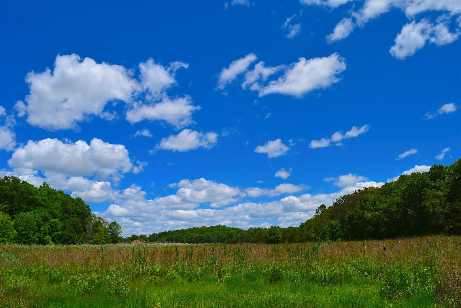 Nikon D3300 sample photo. Field, clouds, sky photography