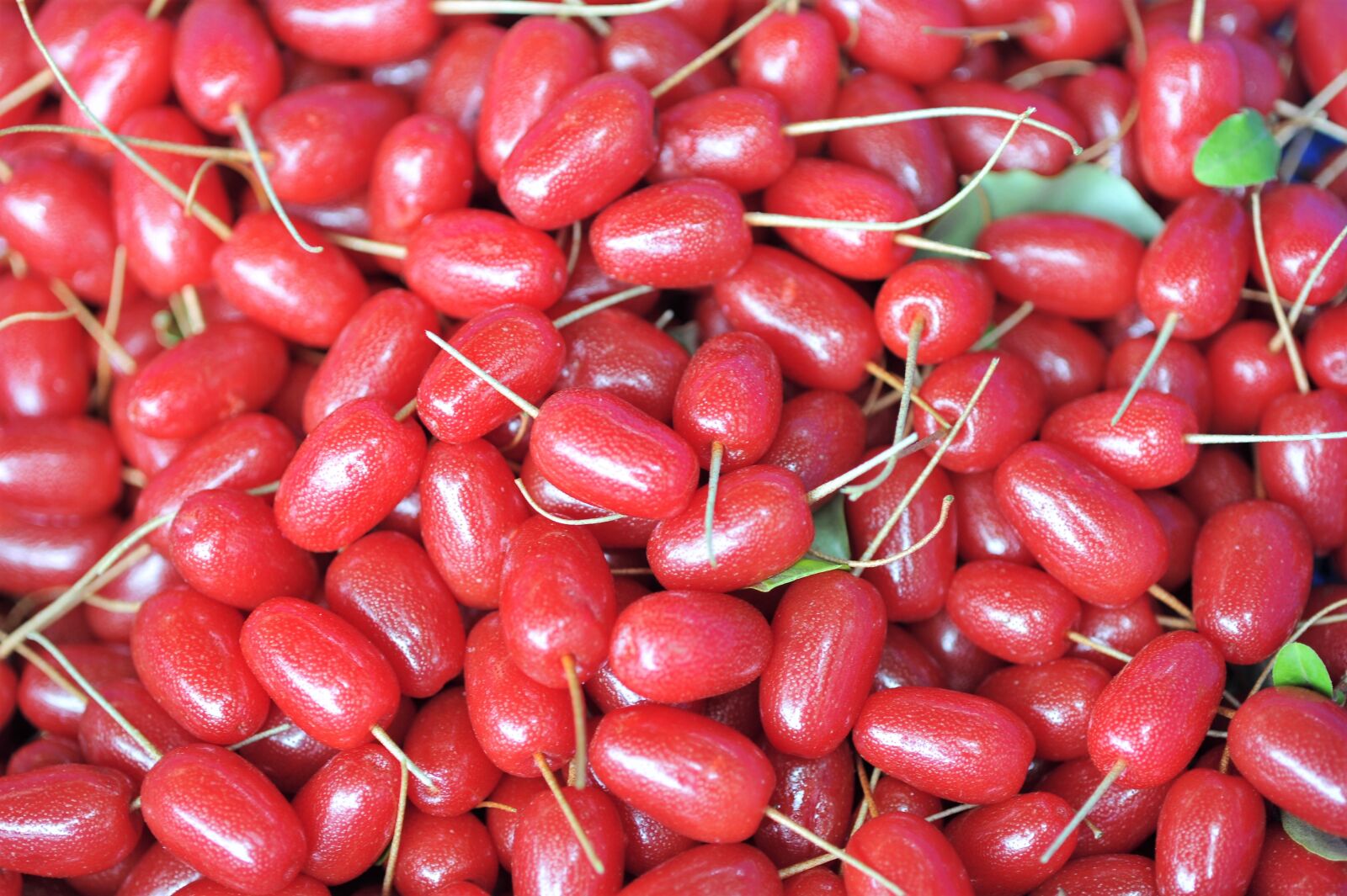 Nikon D3S sample photo. Bodhi, fruit, sweet and photography