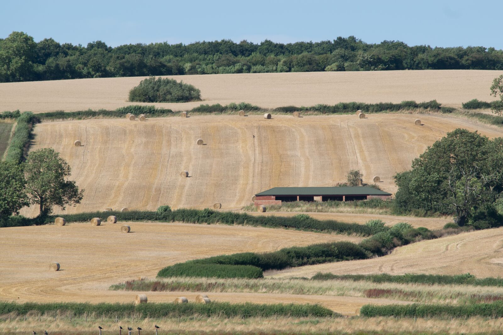 Nikon D3300 sample photo. Farm, landscape, rural photography