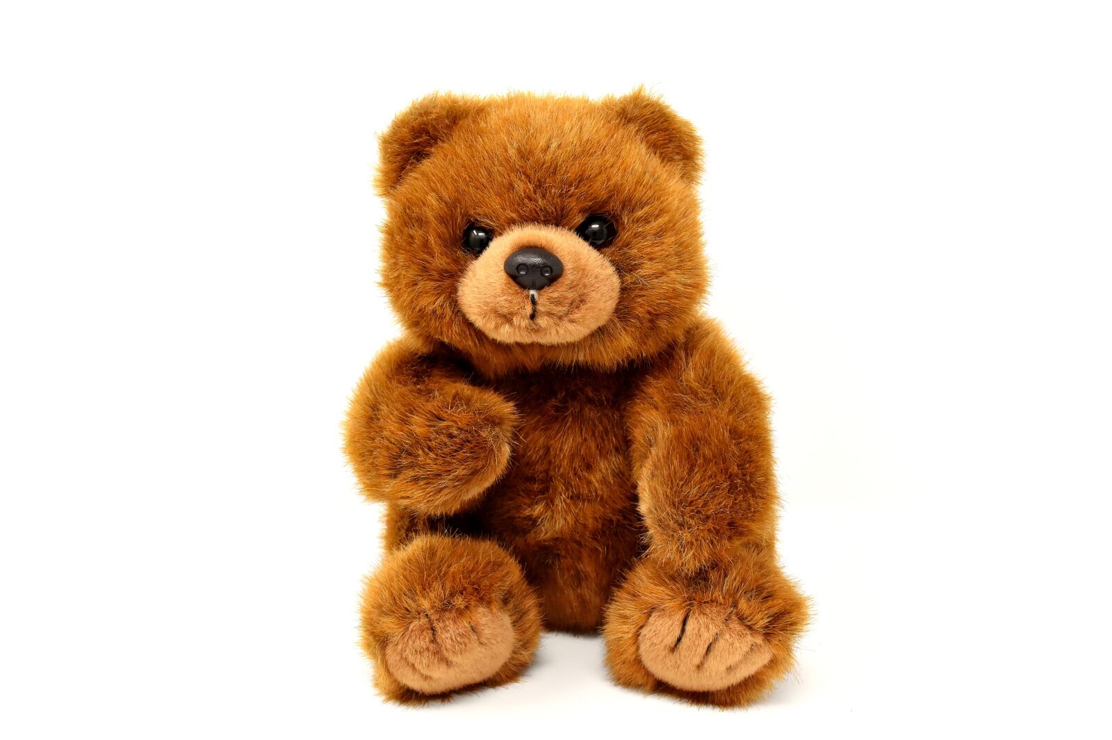 Nikon D7200 sample photo. Teddy, soft toy, stuffed photography