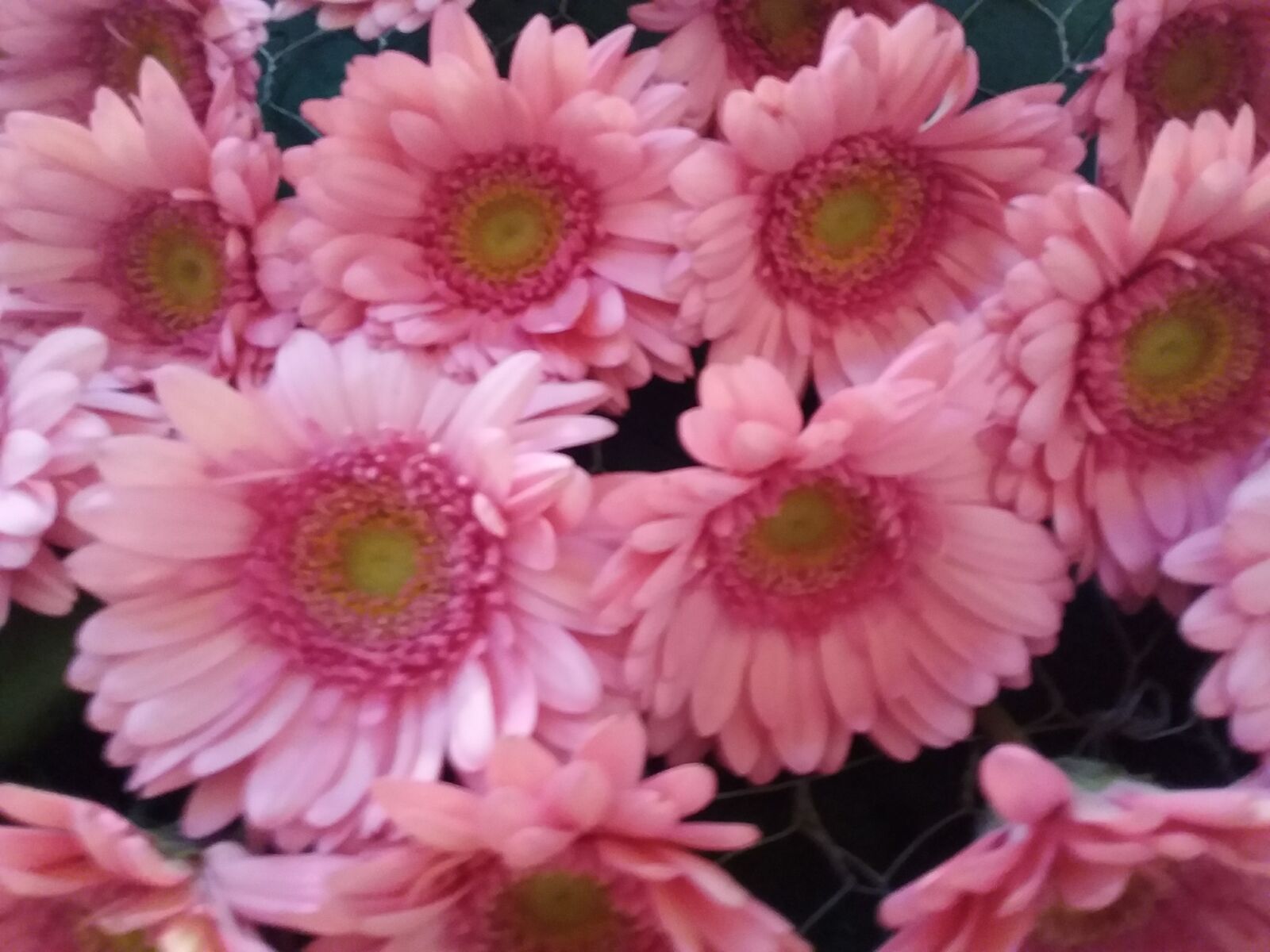 Samsung Galaxy J3(2016) sample photo