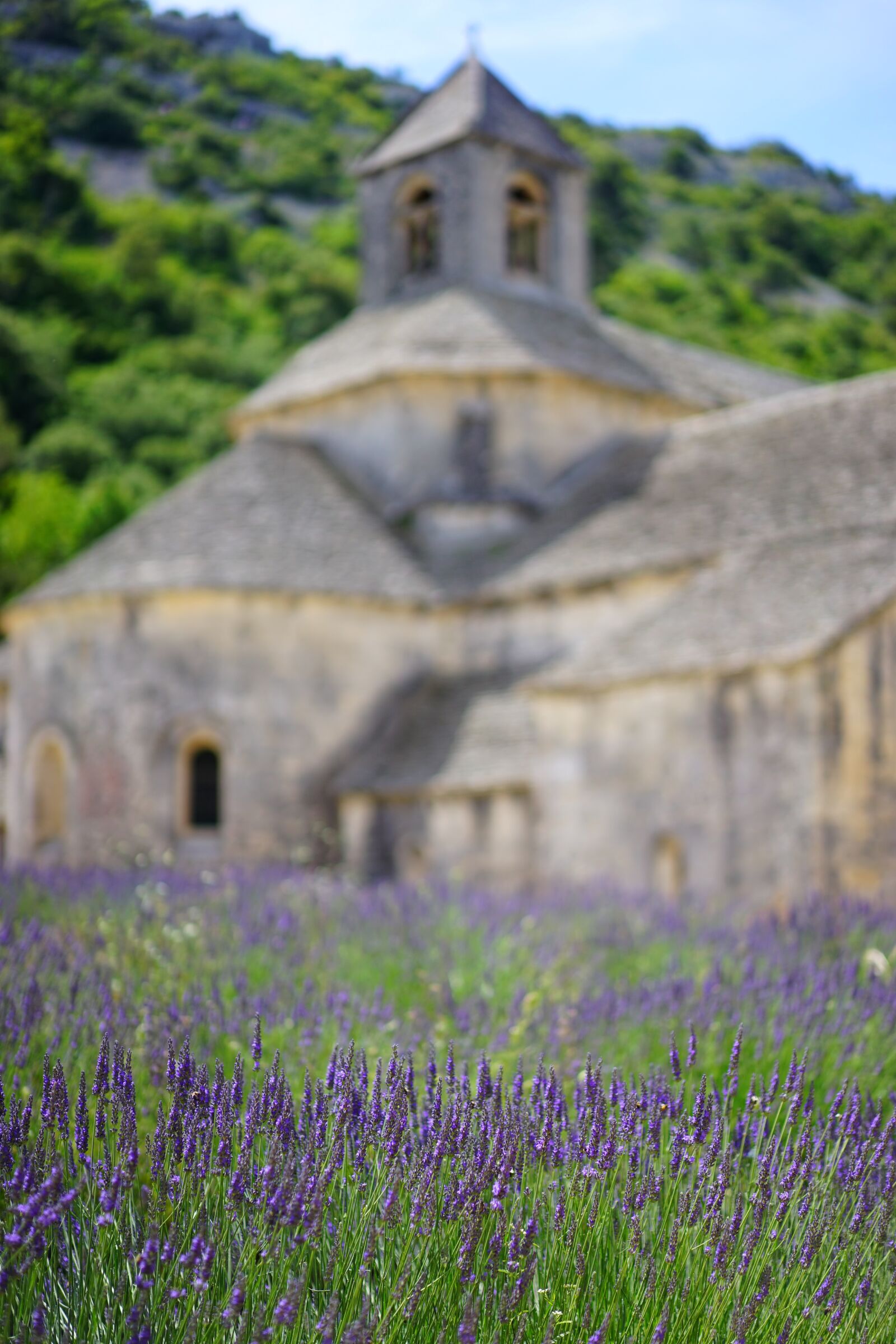 Sony a7 + Sony Sonnar T* FE 55mm F1.8 ZA sample photo. Abbaye de s nanque photography