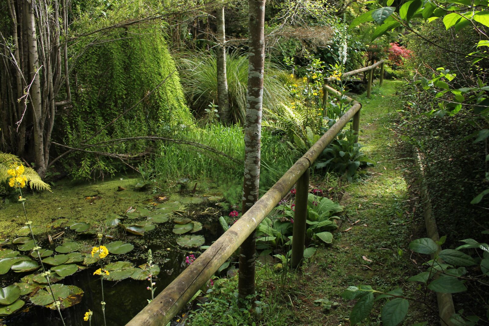 Canon EOS 1100D (EOS Rebel T3 / EOS Kiss X50) sample photo. Lake, pond, garden photography