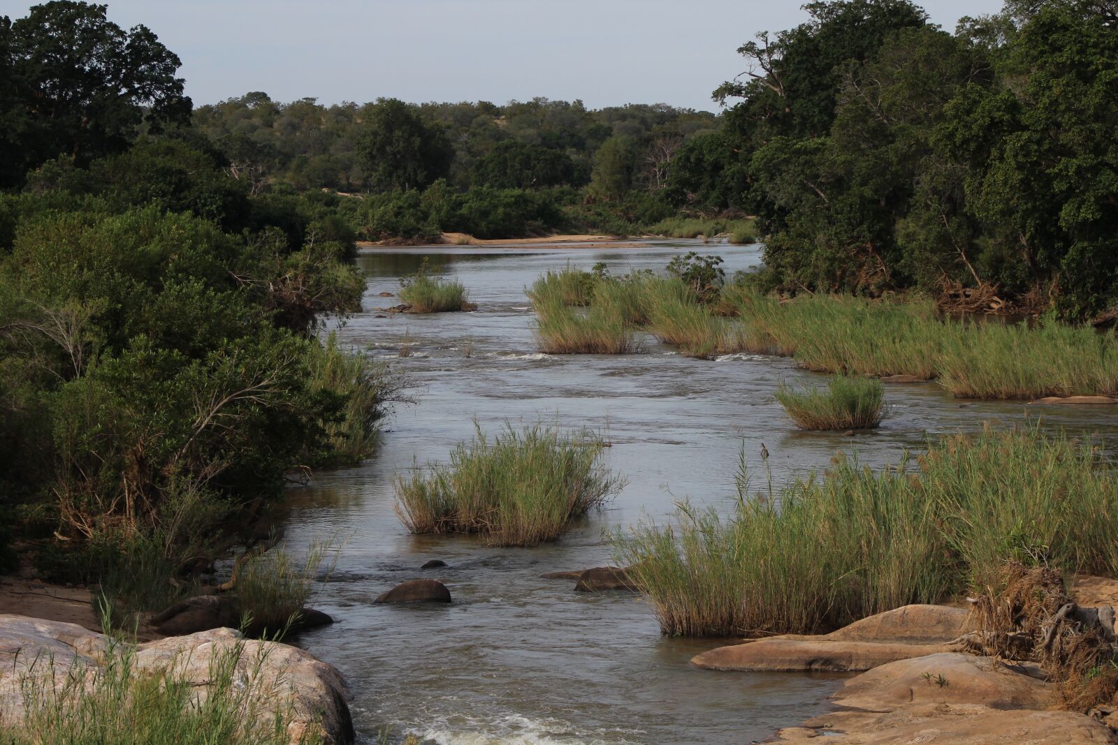 Canon EOS 600D (Rebel EOS T3i / EOS Kiss X5) + Canon EF 75-300mm f/4-5.6 sample photo. River, nature, africa photography