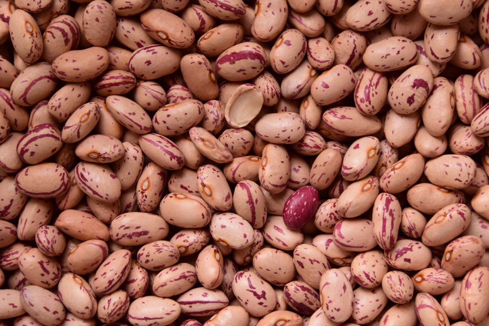 Nikon D3300 sample photo. Beans, quail beans, legumes photography