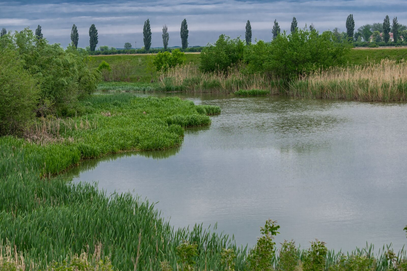 Nikon D3300 sample photo. Water, green, stream photography