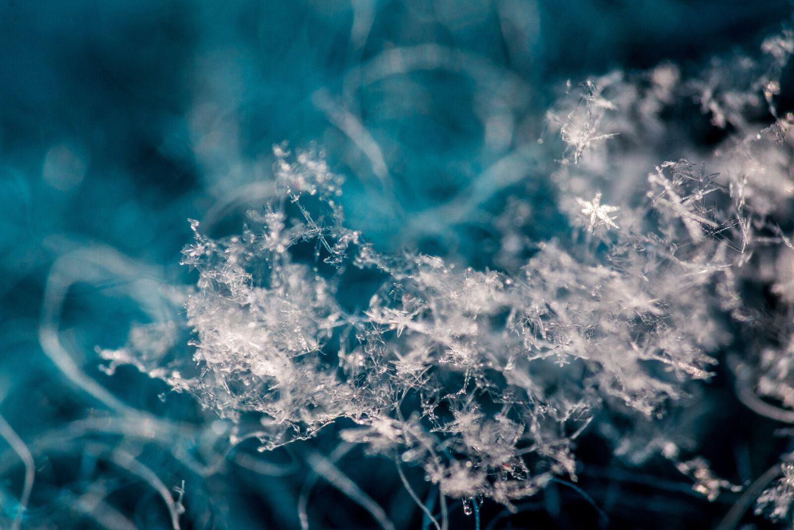 Canon EOS 70D sample photo. Snowflake, snow, cold photography