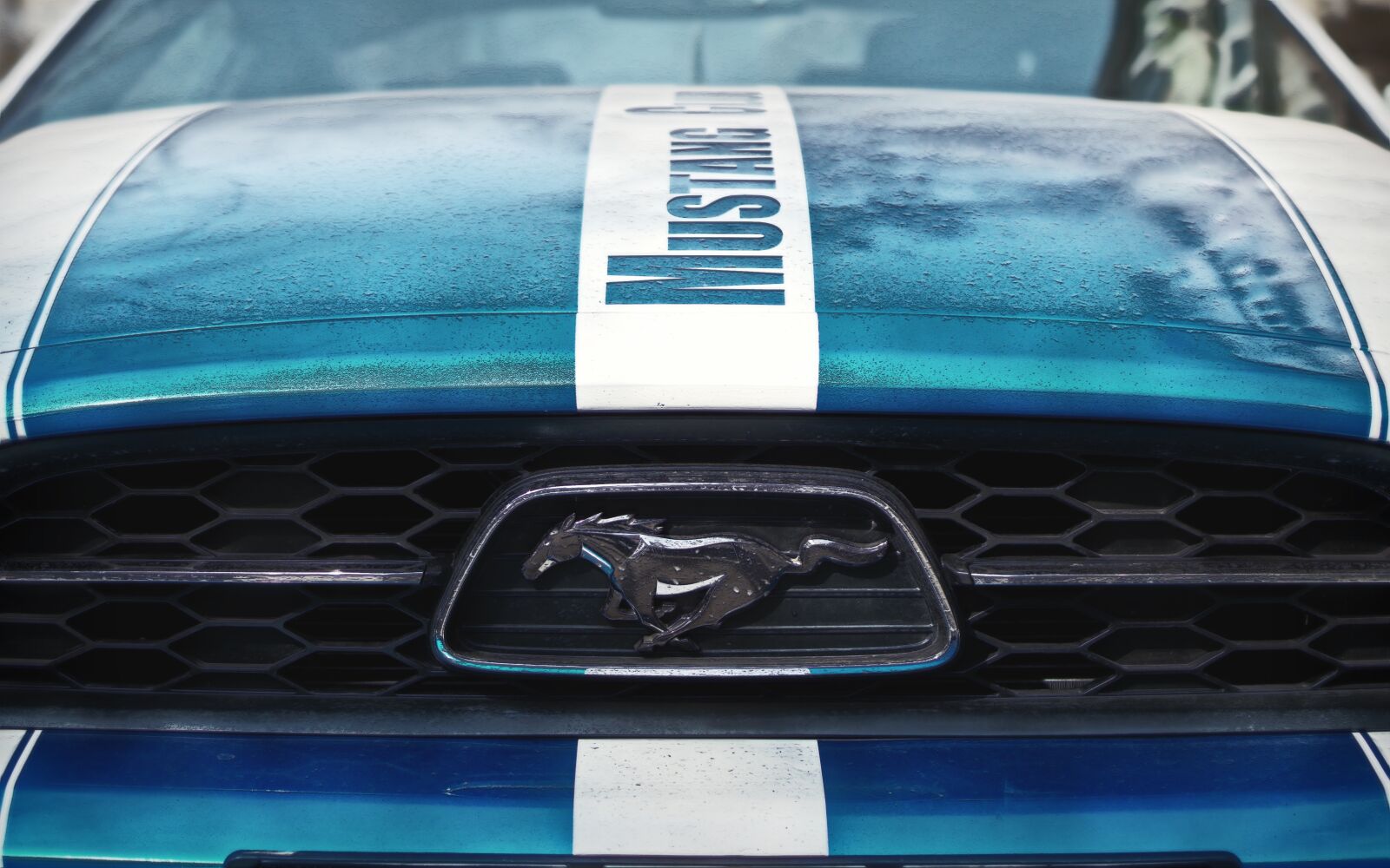 Nikon D5300 sample photo. Car, luxury, the logo photography